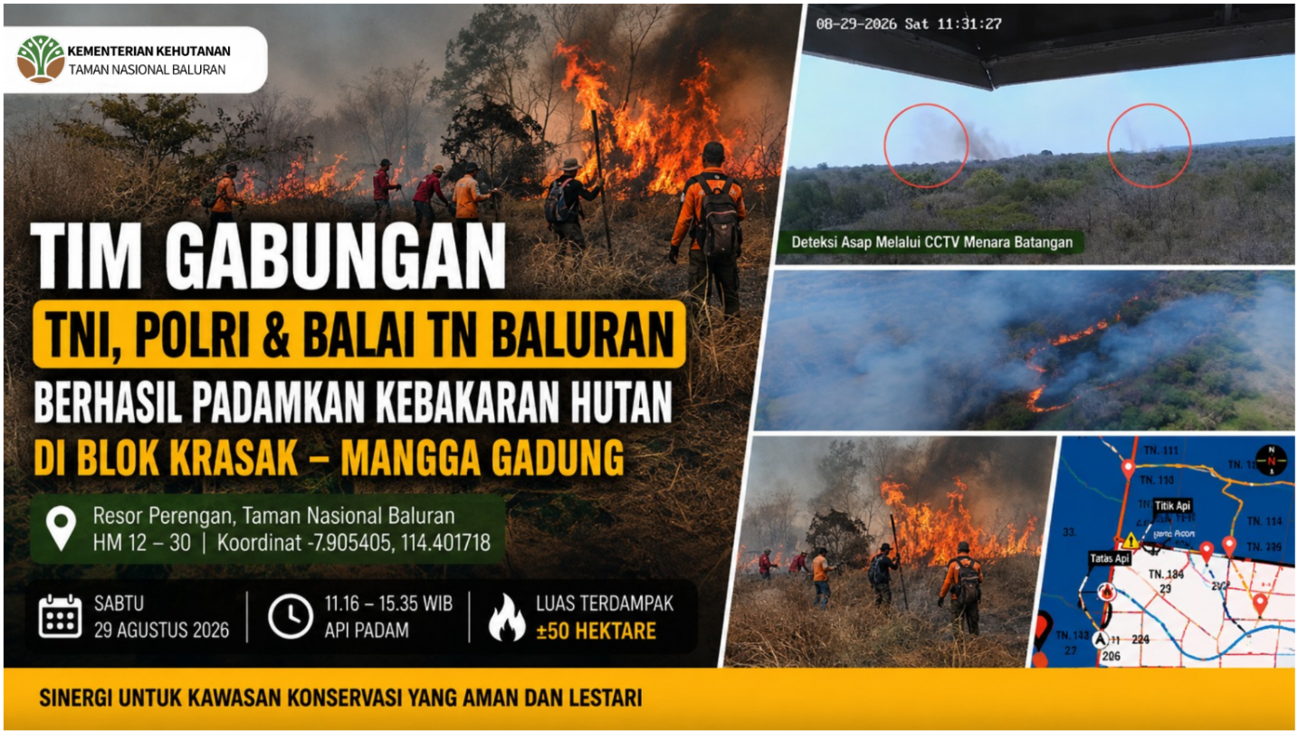 Thumbnail Berita