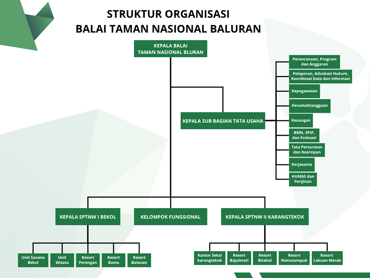 Struktur Organisasi Balai Taman Nasional Baluran